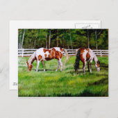 Twee verfpaarden grazen briefkaart (Voorkant / Achterkant)
