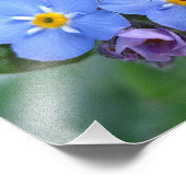 Twee vergeet-me-knopen 10x8 foto afdruk (Hoek)