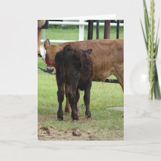 Twee vermeldingen voor het Show van rundvlees Kaart (Voorkant)