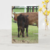 Twee vermeldingen voor het Show van rundvlees Kaart (Gele Bloem)