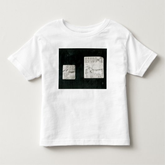 Twee versierde zegels die een zebu en een kinder shirts (Voorkant)