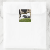 twee vierkante sticker (Tas)