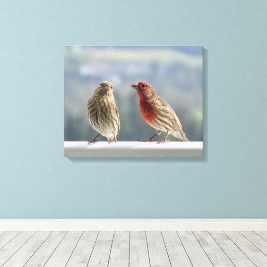 Twee vinken vliegen. canvas afdruk (Insitu (Houten vloer))