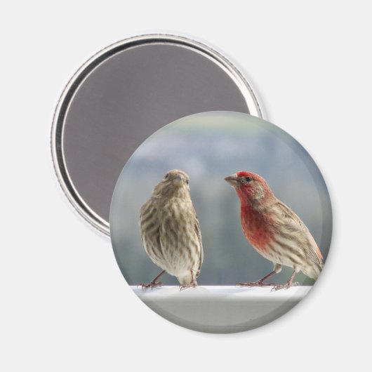 Twee vinken vliegen. magneet (Voorkant / Achterkant)