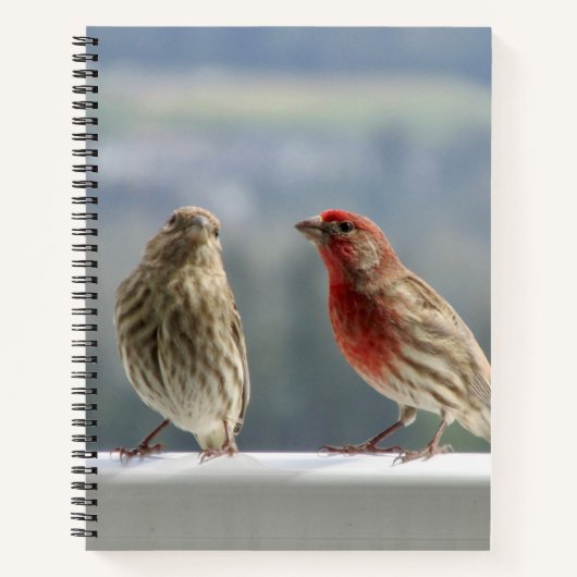 Twee vinken vliegen. notitieboek (Voorkant)