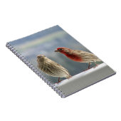 Twee vinken vliegen. notitieboek (Rechterzijde)