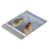 Twee vinken vliegen. notitieboek (Linkerzijde)