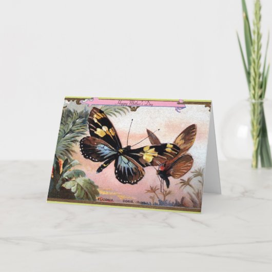 Twee Vintage-Butterflies-kaart Feestdagen Kaart (Voorkant)