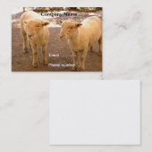 Twee Visitekaartjes schapen (Voorkant / Achterkant)