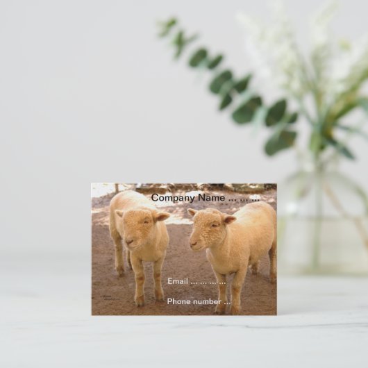 Twee Visitekaartjes schapen (Staand voorkant)