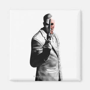 Twee vlakken magneet