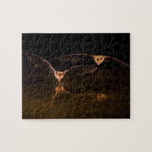 Twee vleermuizen vliegen over water, Arizona Legpuzzel
