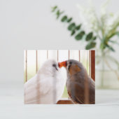 Twee vleesetende vogels in kooi briefkaart (Staand voorkant)