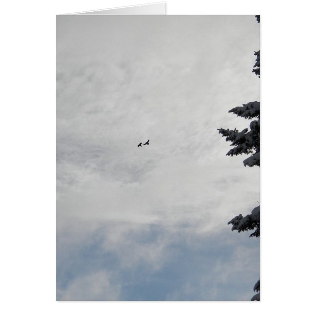 Twee vliegen hoog (Voorkant)