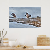 Twee vliegende Canadese ganzen en Winter Pond Wild Poster (Keuken)
