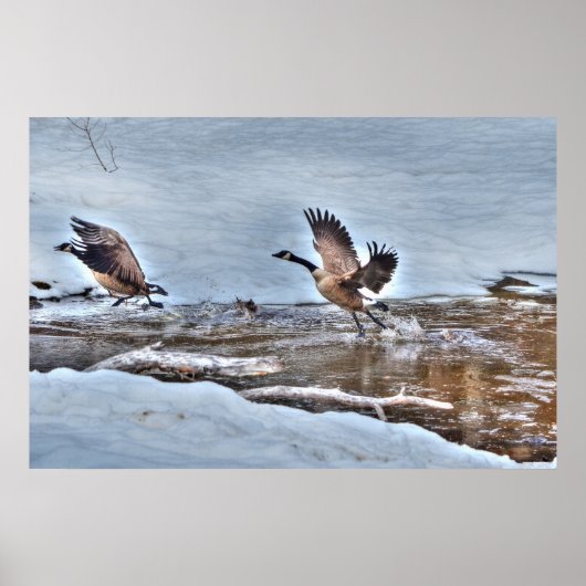 Twee vliegende Canadese ganzen en Winter Pond Wild Poster (Voorkant)