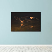 Twee vliegende vleermuizen boven water, Arizona Canvas Afdruk (Insitu (Houten vloer))