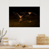 Twee vliegende vleermuizen boven water, Arizona Poster (Keuken)