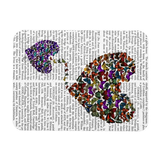 Twee vlinderharten magneet (Horizontaal)