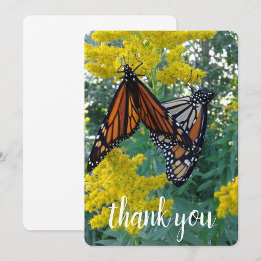 Twee  vlinders bedankkaart (Voorkant / Achterkant)