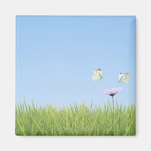 Twee vlinders over de bloem magneet (Voorkant)