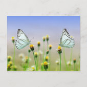Twee vlinders, twee bloemen briefkaart (Voorkant)