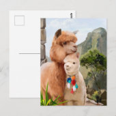 Twee vloeiende alpiaca's op de achtergrond van het briefkaart (Voorkant / Achterkant)