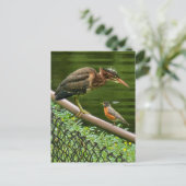 Twee vogels briefkaart (Staand voorkant)