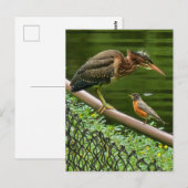 Twee vogels briefkaart (Voorkant / Achterkant)