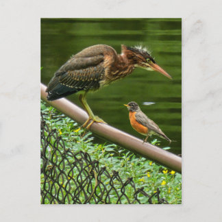 Twee vogels feestdagenkaart