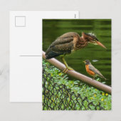 Twee vogels feestdagenkaart (Voorkant / Achterkant)