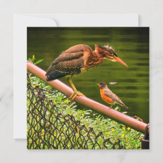 Twee vogels feestdagenkaart