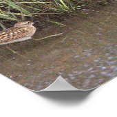 Twee Vogels Foto Poster (Hoek)