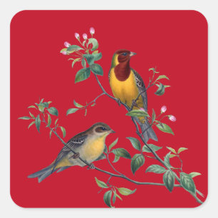 Twee vogels op bloeiende boomtakken, vierkante sticker