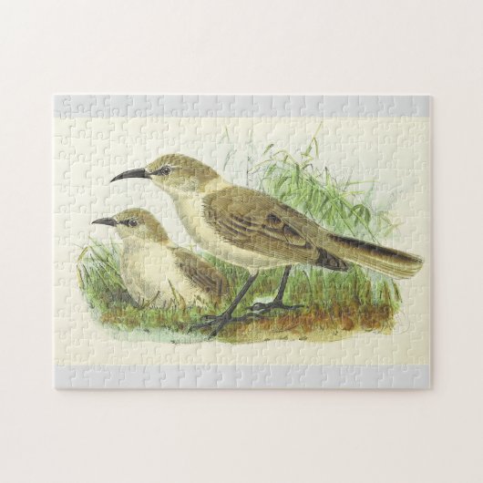 Twee vogels op de aardpuzzel legpuzzel (Horizontaal)