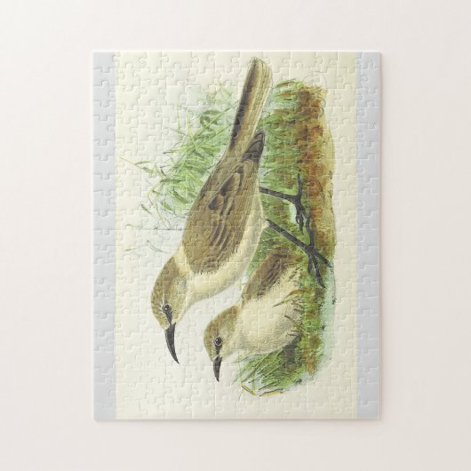 Twee vogels op de aardpuzzel legpuzzel (Verticaal)