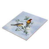 Twee vogels op een bloeiende tak van een boom tegeltje (Zijkant)