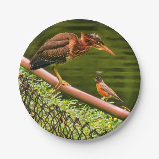 Twee vogels papieren bordje (Voorkant)