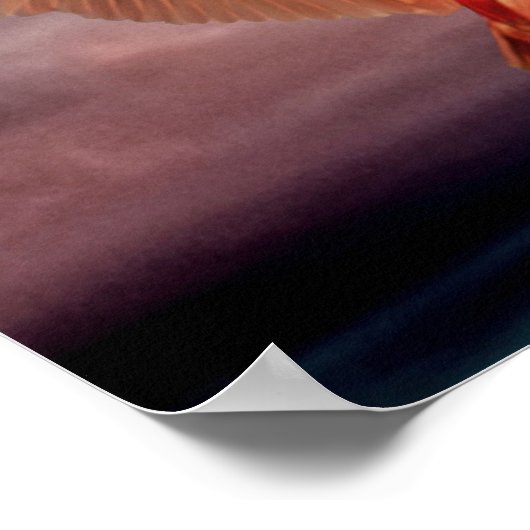 Twee vogels poster (Hoek)