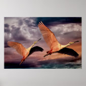 Twee vogels poster (Voorkant)