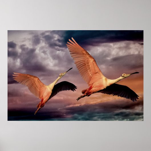 Twee vogels poster (Voorkant)