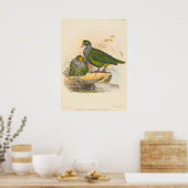 Twee vogels (Ptilonopus Auranthfrons) door Joseph Poster (Keuken)