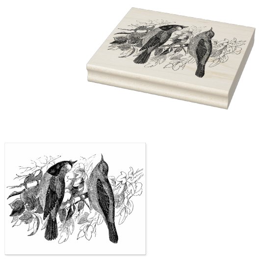  twee vogelsoorten Antiek Rubberstempel (Gestempeld)