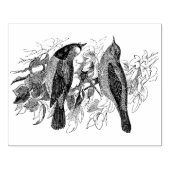  twee vogelsoorten Antiek Rubberstempel (Afrduk)