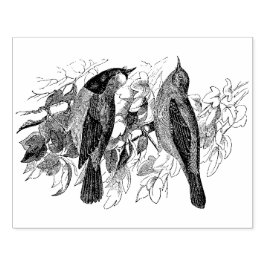 twee vogelsoorten Antiek Rubberstempel