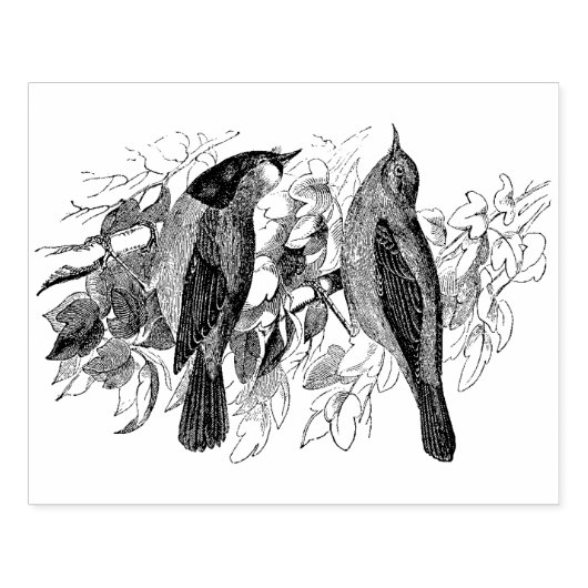 twee vogelsoorten Antiek Rubberstempel (Afrduk)