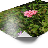 Twee voor één foto afdruk (Hoek)