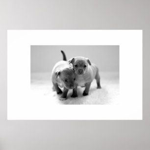 Twee voor één poster