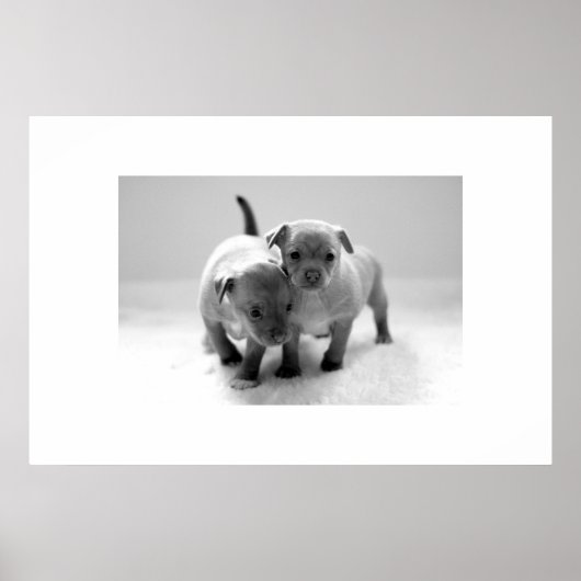 Twee voor één poster (Voorkant)