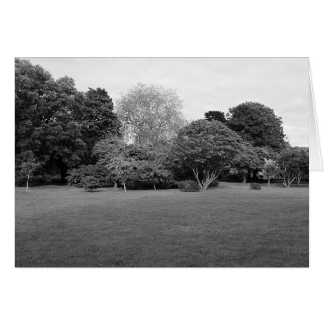 Twee voor Joy (Voorkant Horizontaal)